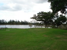 Enlarge photo 74