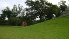 Enlarge photo 76