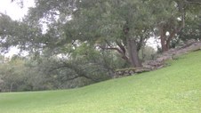 Enlarge photo 77