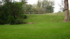 Enlarge photo 80