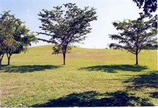 Enlarge photo 49