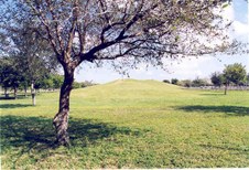 Enlarge photo 54