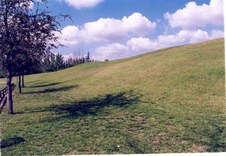 Enlarge photo 55
