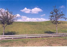 Enlarge photo 56