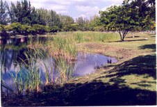 Enlarge photo 57
