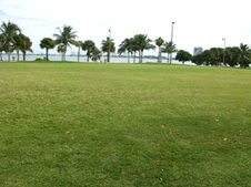 PARKS / CITY SCAPES