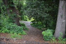 PARKS - Elaine Gordon