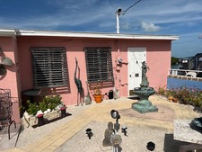 Enlarge photo 165