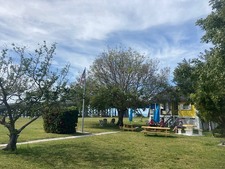 Enlarge photo 260