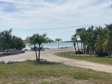 Enlarge photo 262
