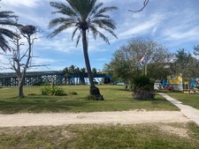 Enlarge photo 263