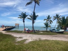 Enlarge photo 273