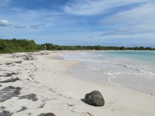 PUERTO RICO - BEACHES