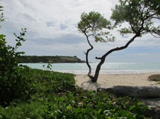 Enlarge photo 4