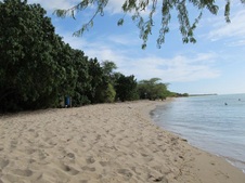 Enlarge photo 35