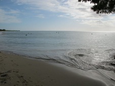 Enlarge photo 36