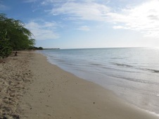 Enlarge photo 37