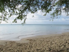 Enlarge photo 38