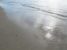 Enlarge photo 40