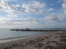 Enlarge photo 41