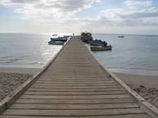 Enlarge photo 43