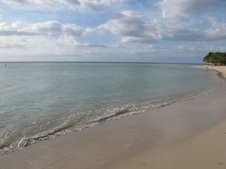 Enlarge photo 45