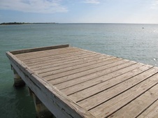 Enlarge photo 46