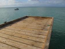Enlarge photo 47