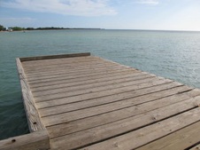 Enlarge photo 49