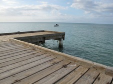 Enlarge photo 51