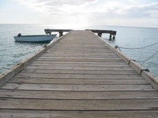 Enlarge photo 52