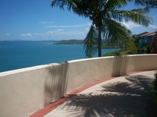Enlarge photo 59