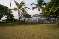 Enlarge photo 76