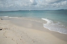 Enlarge photo 81