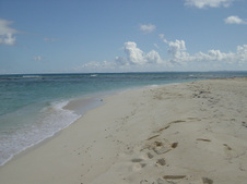 Enlarge photo 85