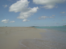 Enlarge photo 86