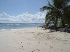 Enlarge photo 87