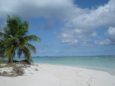Enlarge photo 91