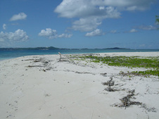 Enlarge photo 92