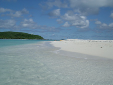 Enlarge photo 93