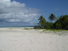Enlarge photo 94