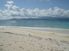 Enlarge photo 95