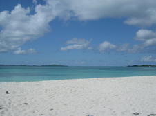 Enlarge photo 97