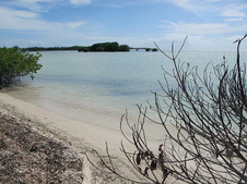 Enlarge photo 21