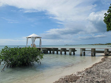 Enlarge photo 23