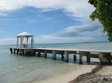 Enlarge photo 24