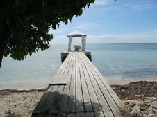 Enlarge photo 25
