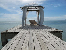 Enlarge photo 26