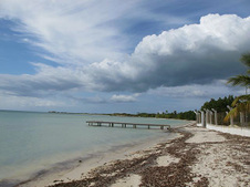 Enlarge photo 27
