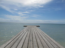 Enlarge photo 29